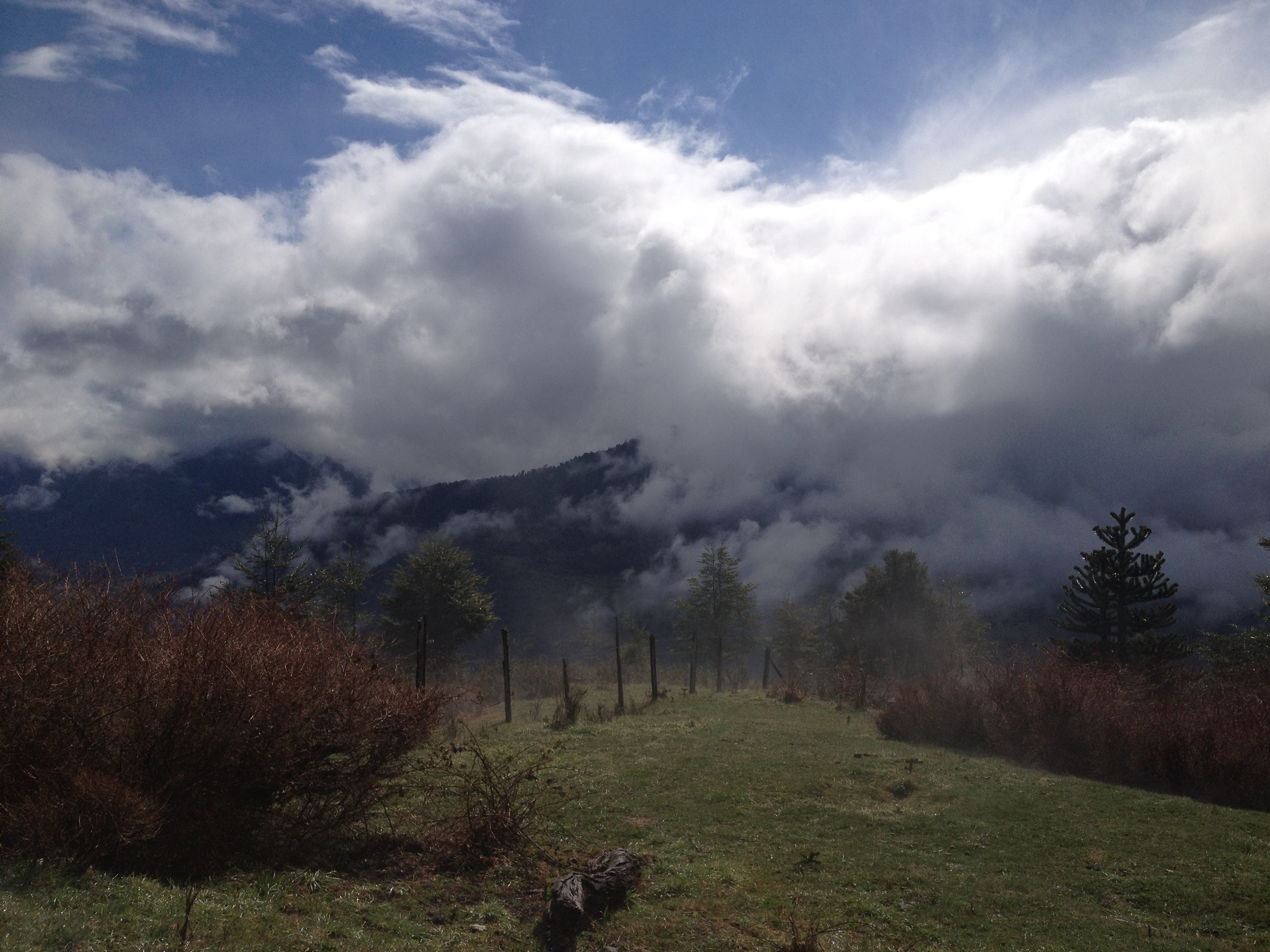 Cani Refugio
