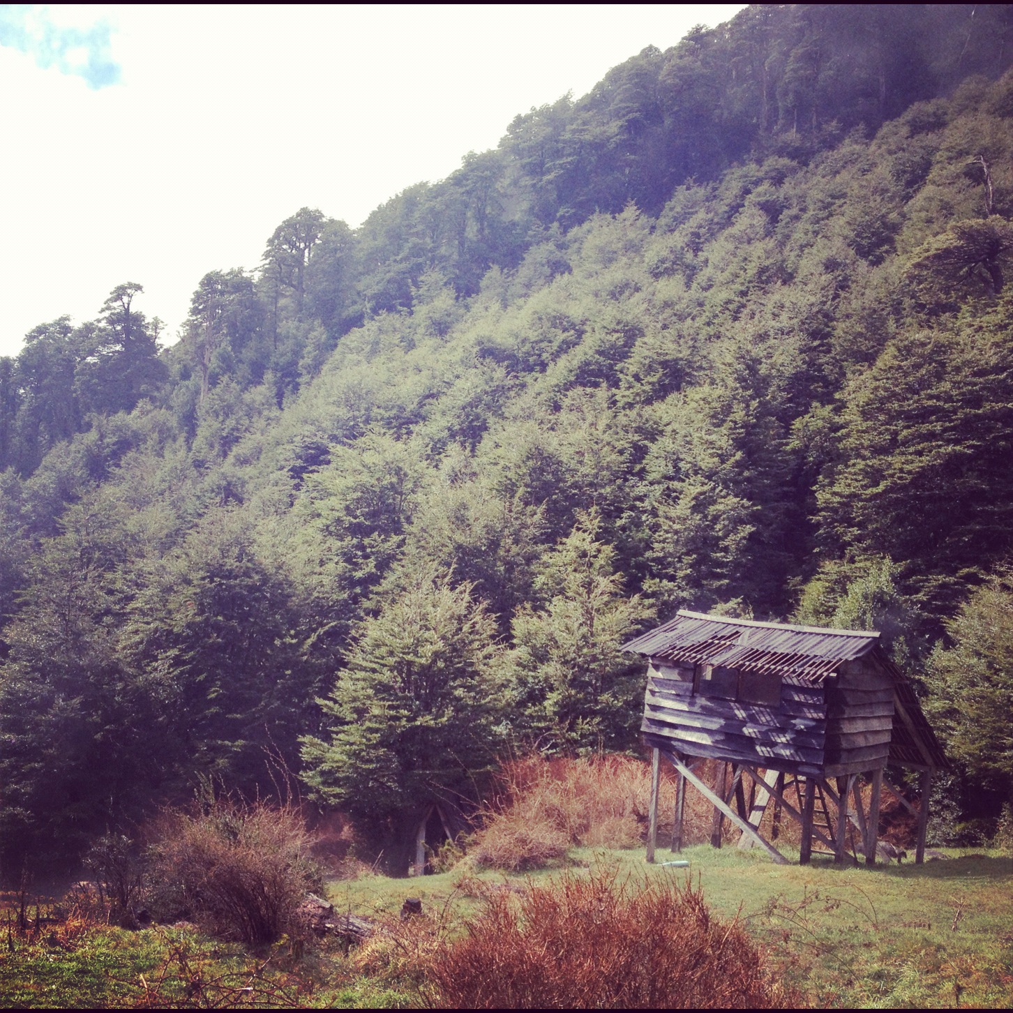 Cani Hut