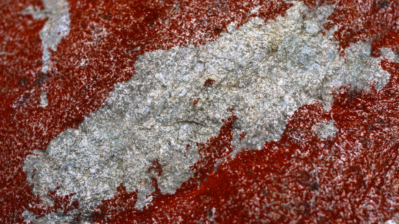 P1020014