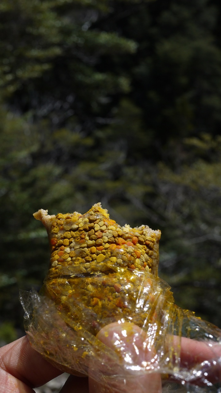 Hippy snacks